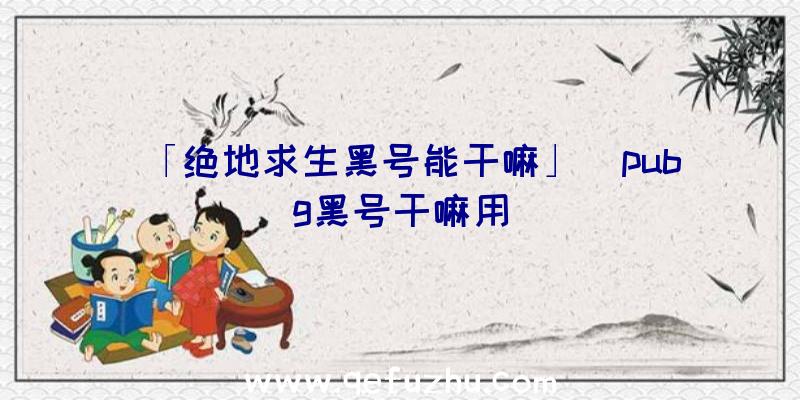 「绝地求生黑号能干嘛」|pubg黑号干嘛用